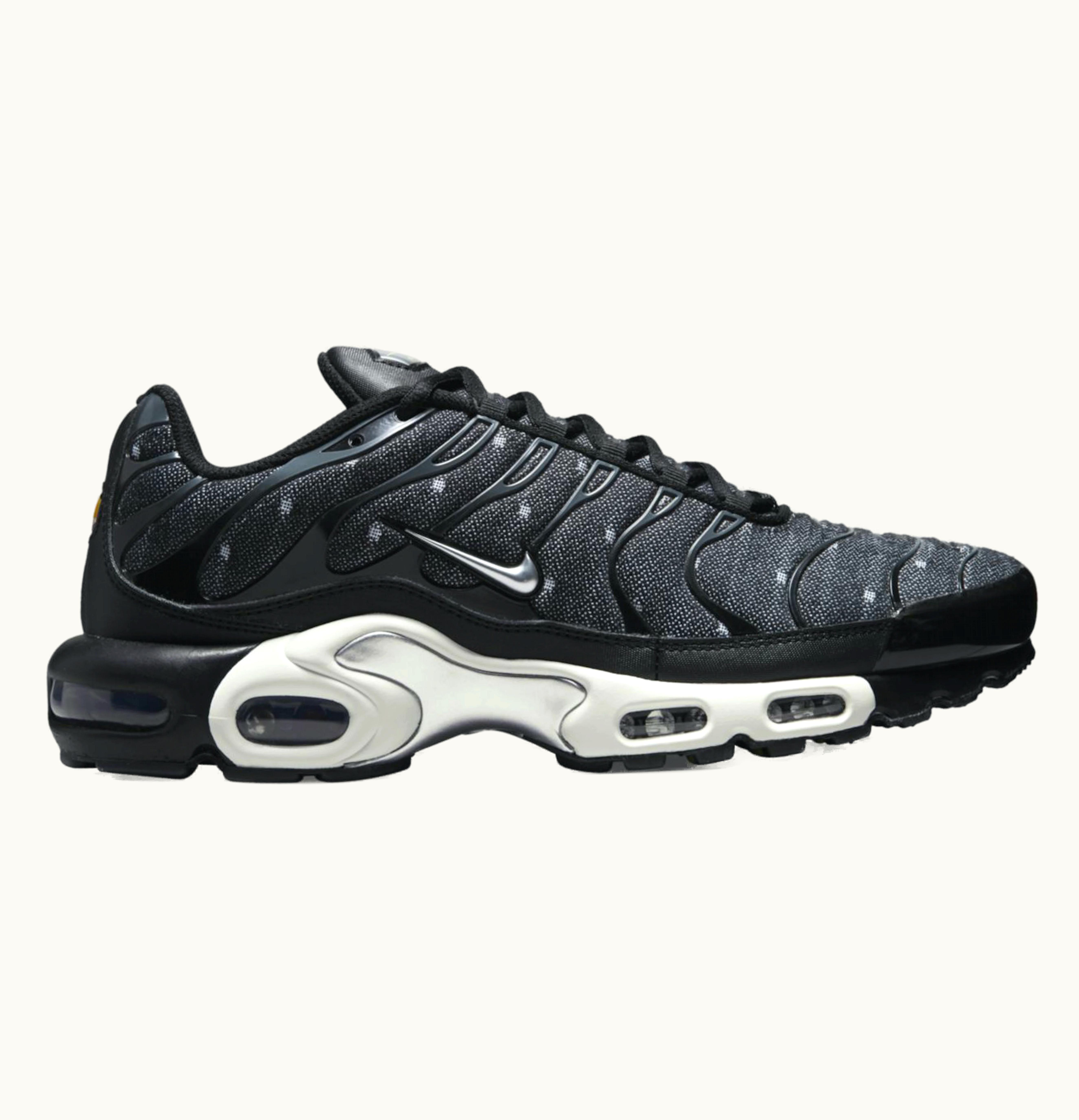 Nike Nike Air Max Plus SE Black Chrome