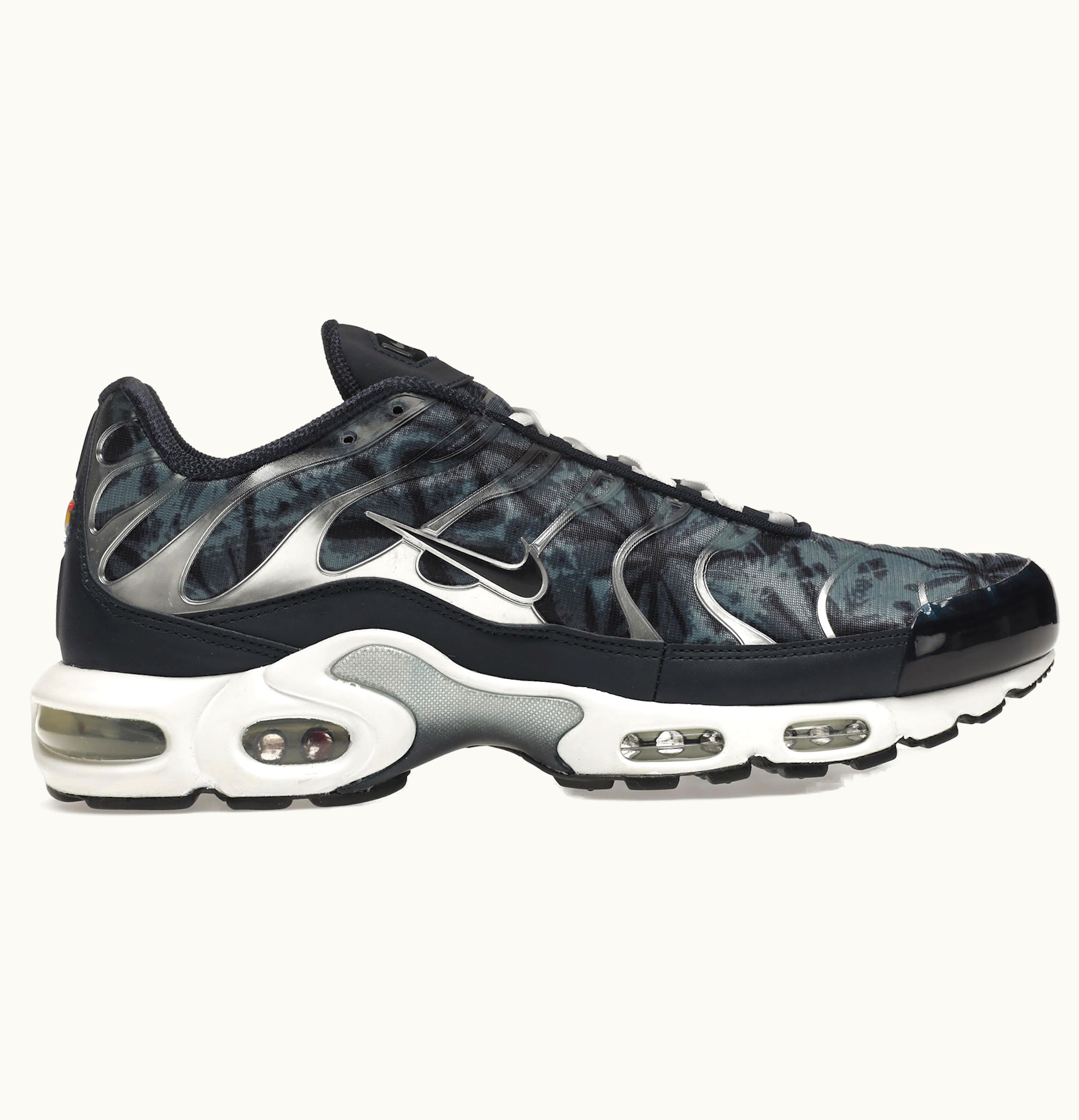 Nike Nike Air Max Plus Palm Trees Blue