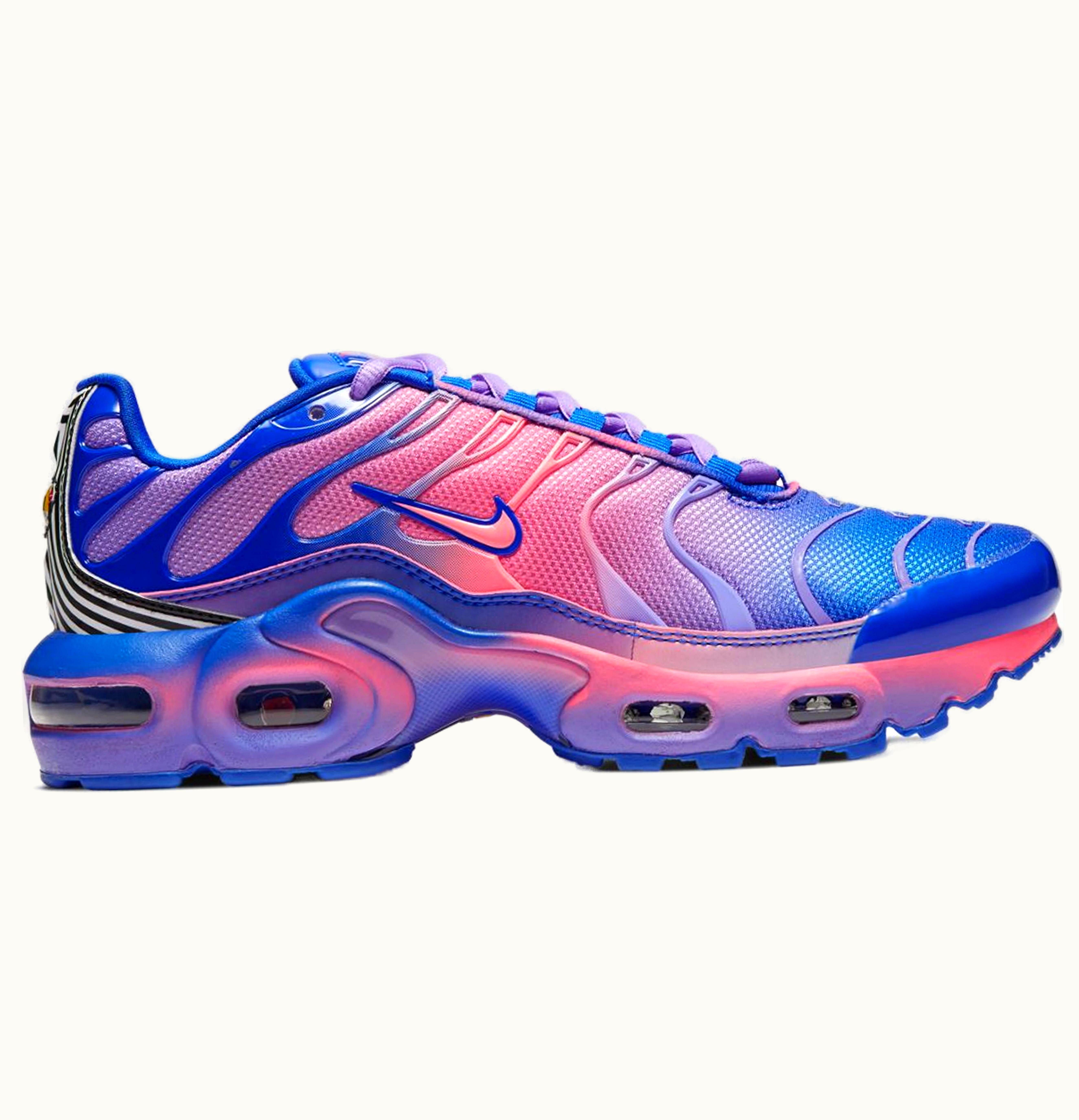 Nike Nike Air Max Plus Fade Blue Pink GS