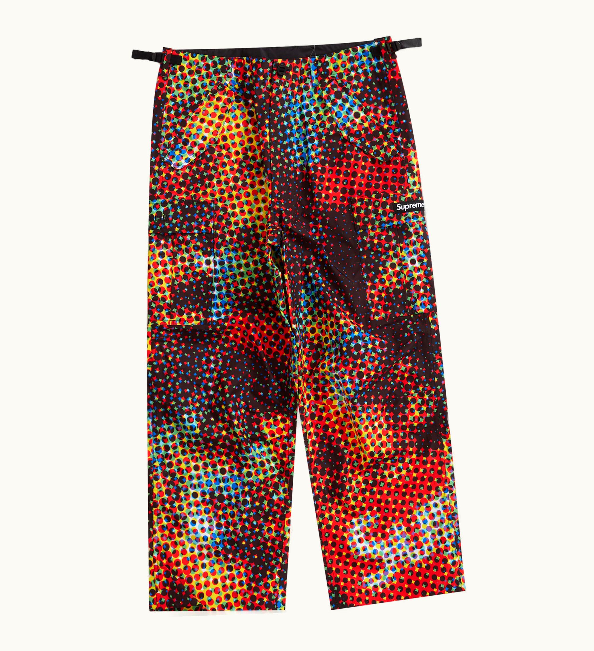 Supreme Supreme Gore Tex Paclite Cargo Pant Multicolor