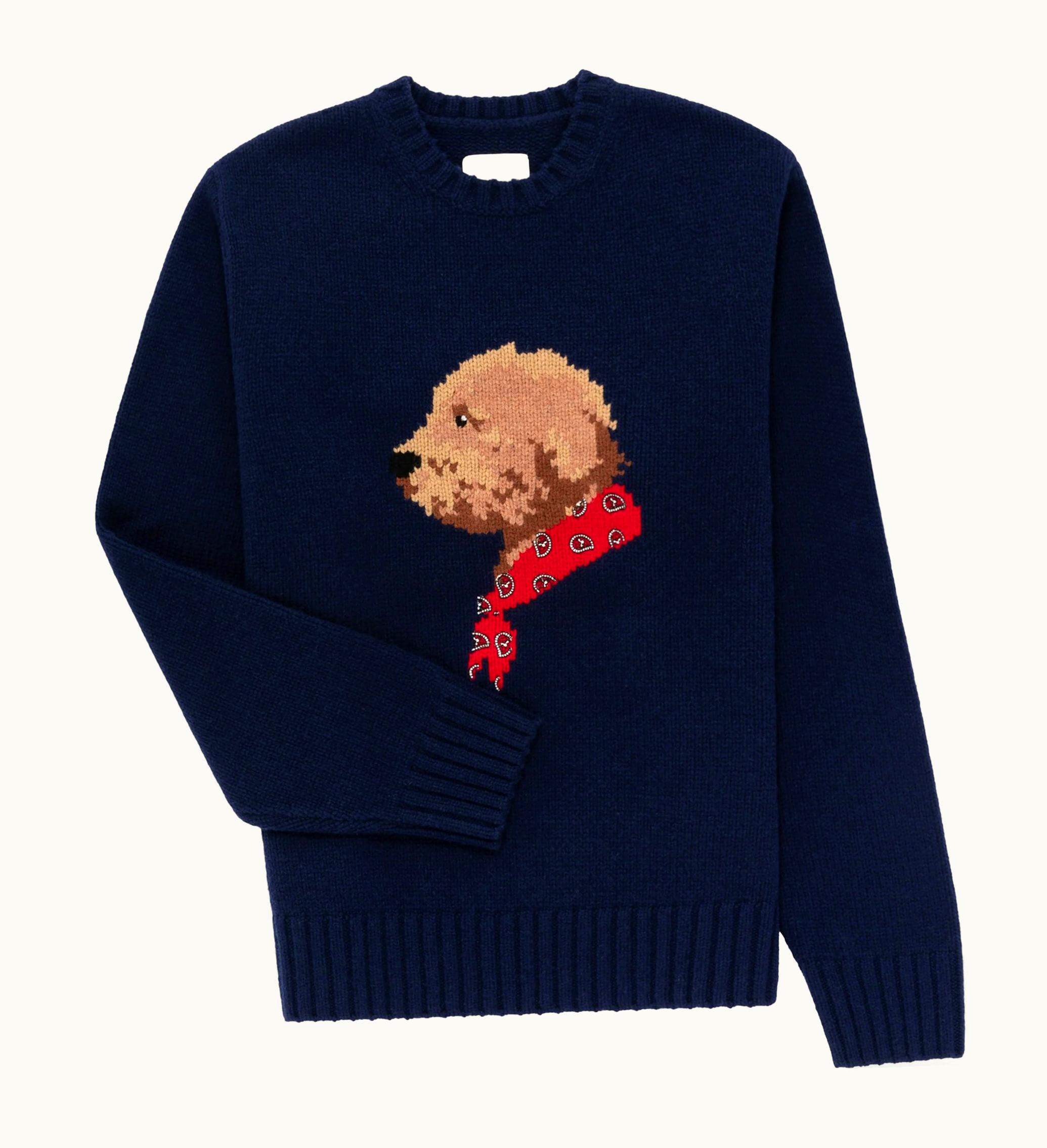 Aime Leon Dore Aime Leon Dore Collegiate Buddy Knit Sweater Blue