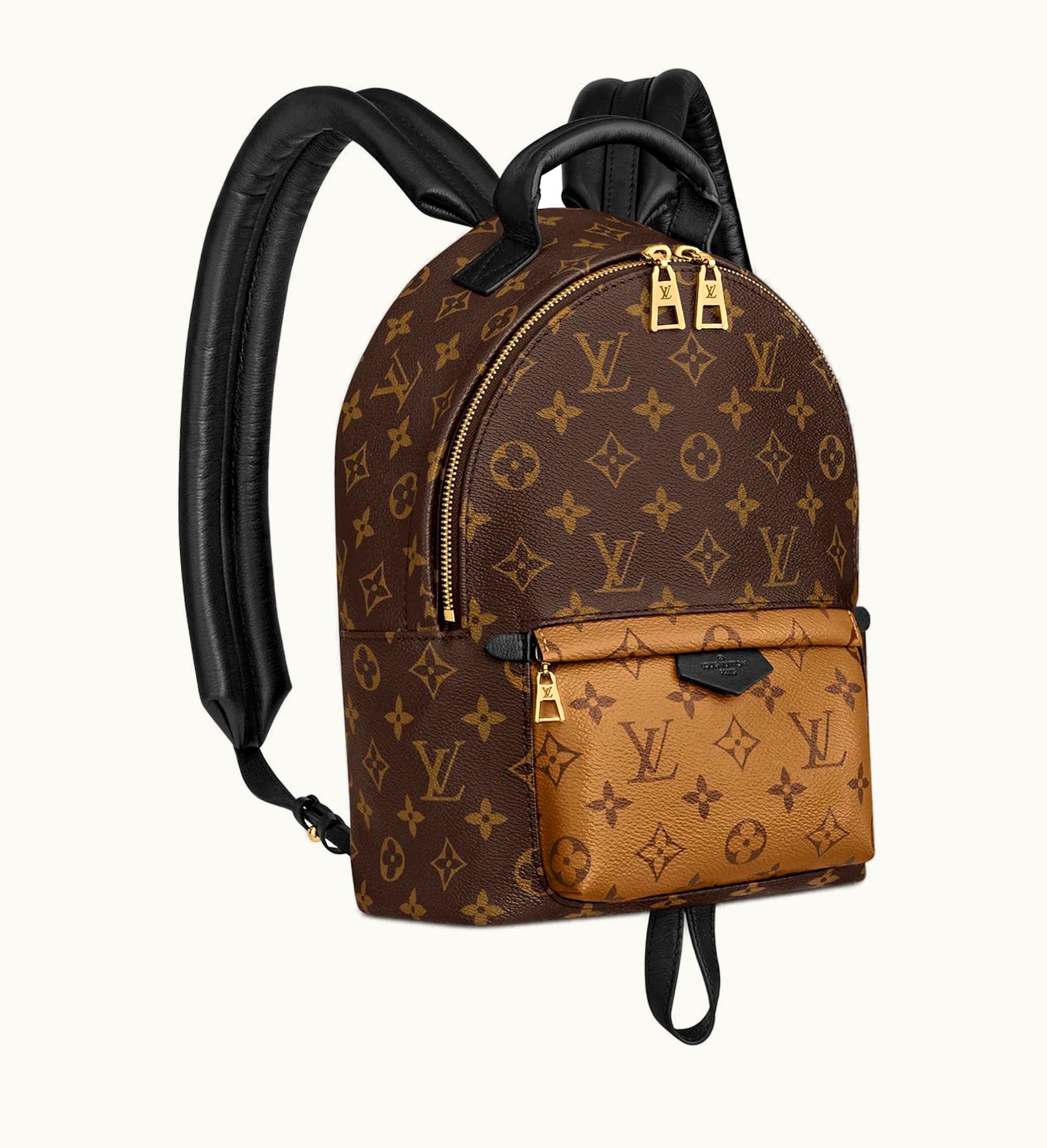 Louis Vuitton Louis Vuitton Palm Springs Backpack Monogram Reverse Updated Zipper PM Brown