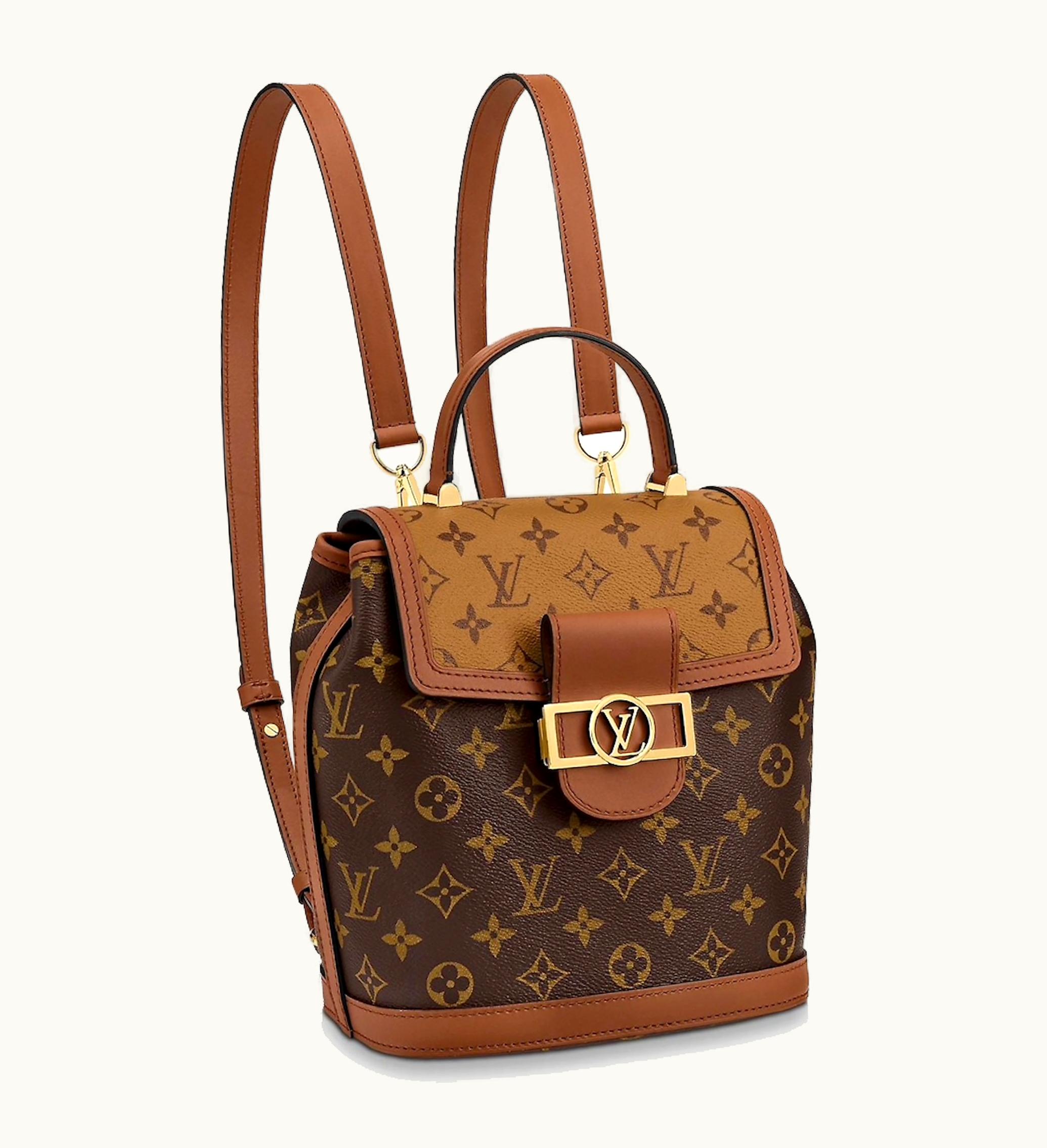 Louis Vuitton Louis Vuitton Backpack Dauphine Monogram Reverse PM Brown