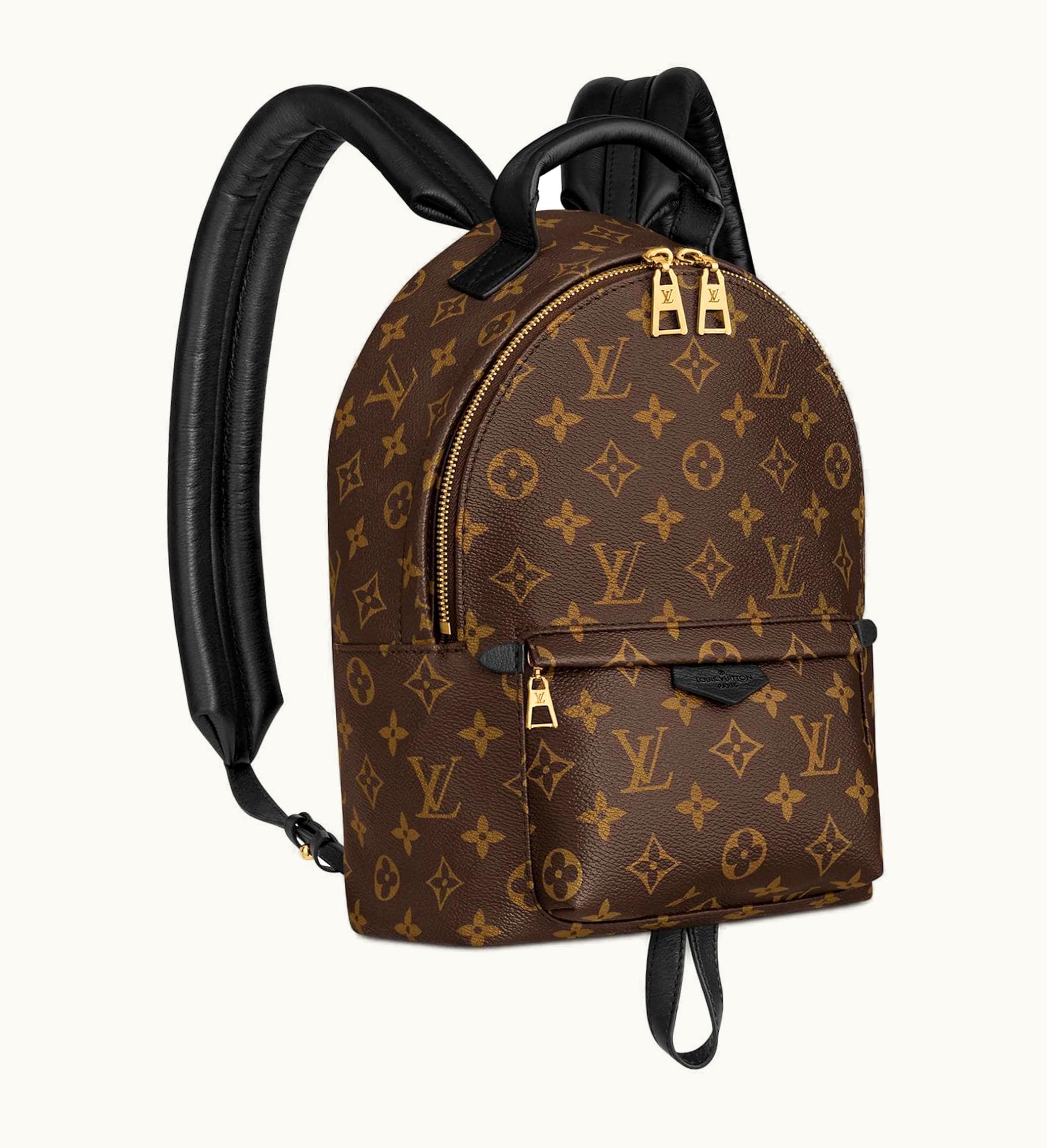 Louis Vuitton Louis Vuitton Palm Springs Backpack Monogram Updated Zipper PM Brown