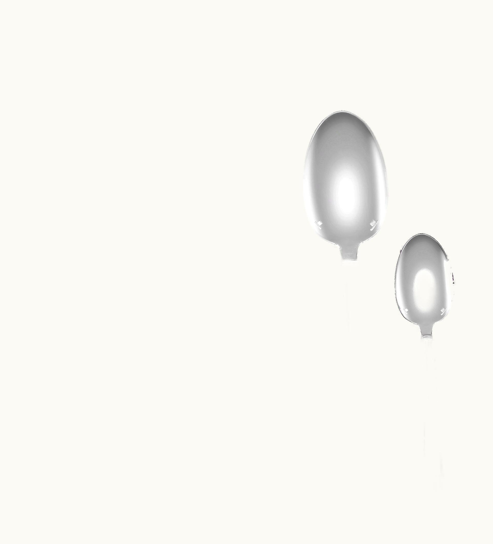 Christofle Christofle 36-Piece Silver-Plated Flatware Set With Free Chest Aria