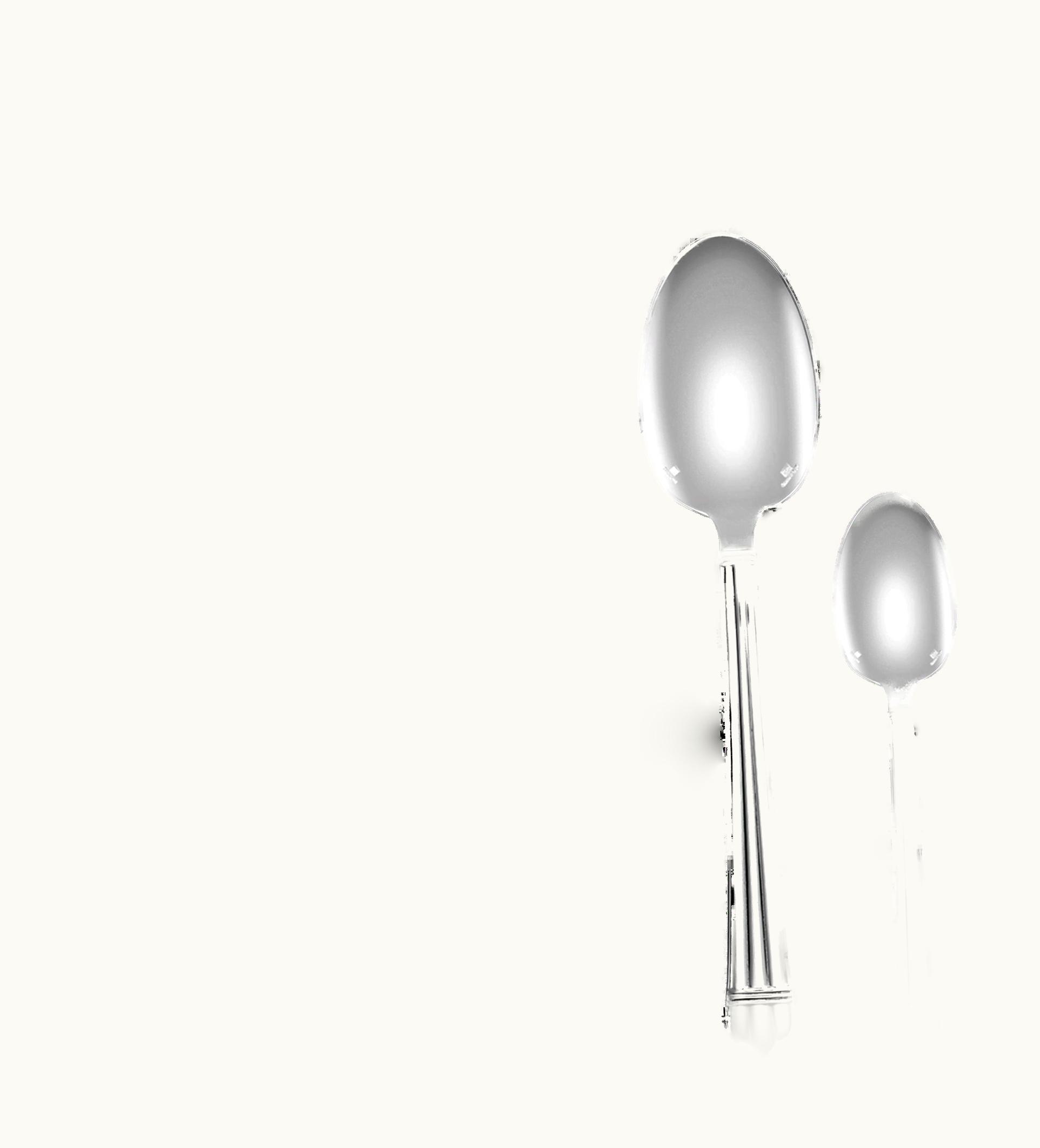 Christofle 75-Piece Silver Plated Flatware Set With Chest Aria