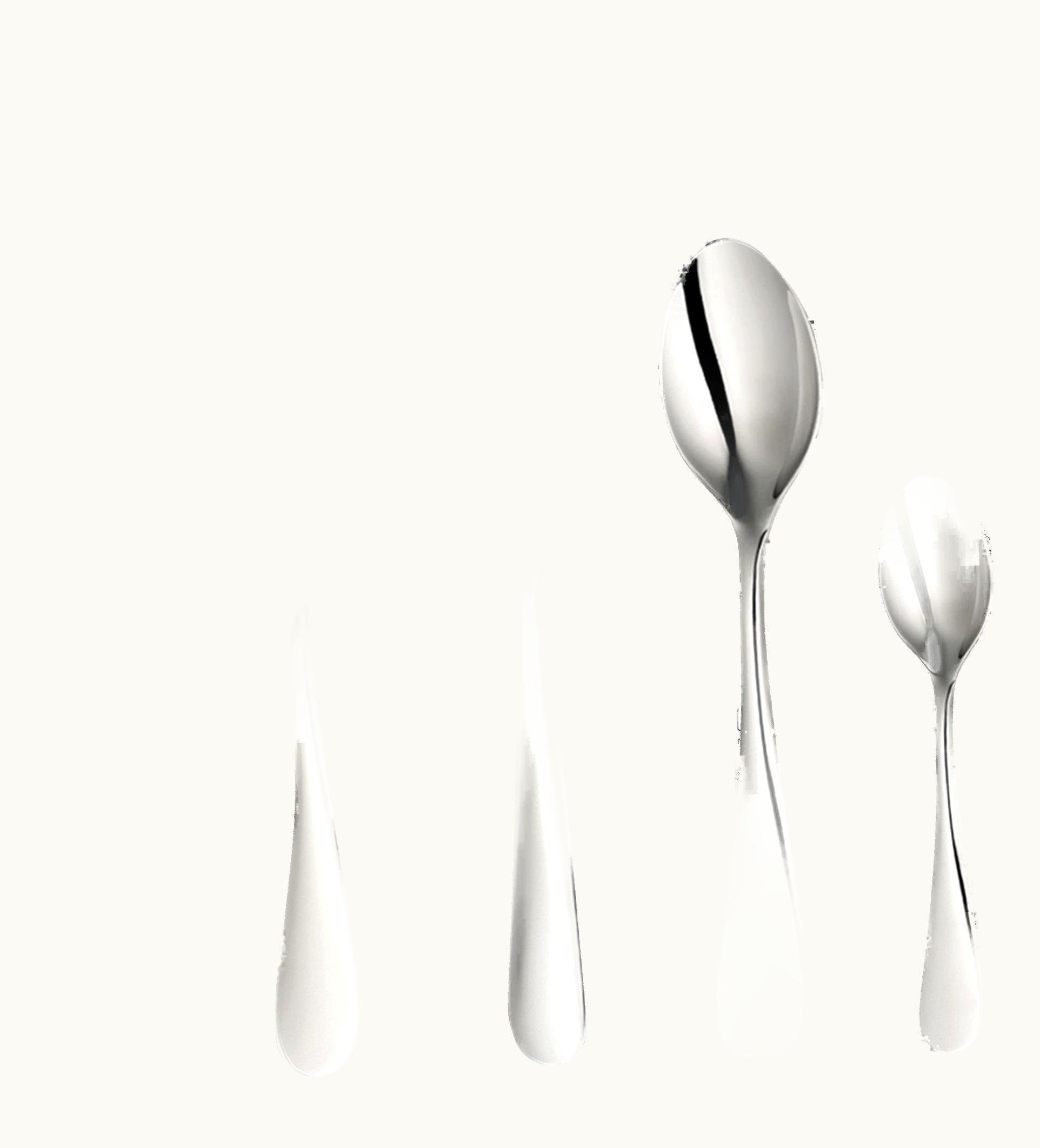 Christofle 75-Piece Stainless Steel Flatware Set With Chest Origine