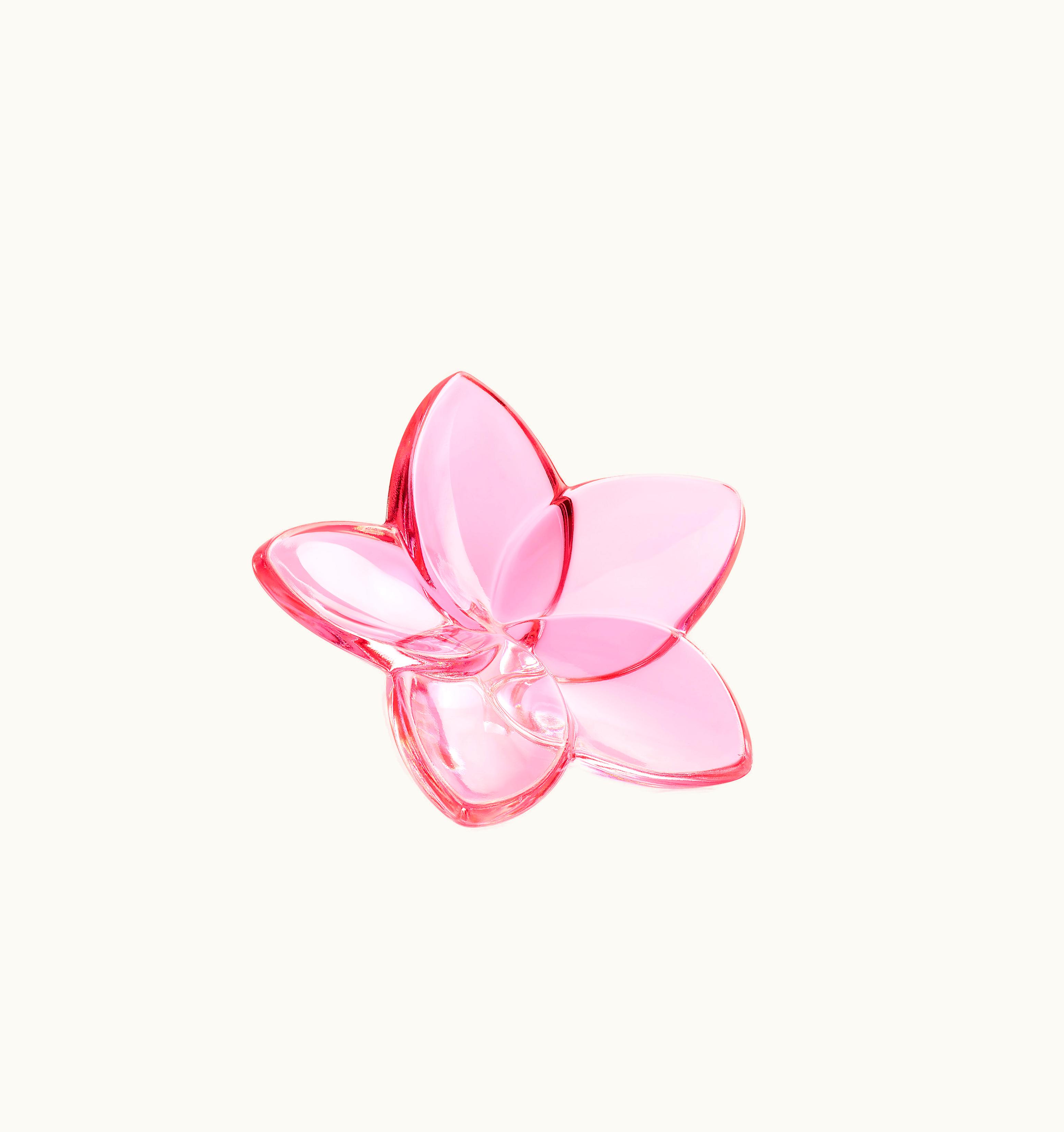 Baccarat Baccarat The Bloom Collection