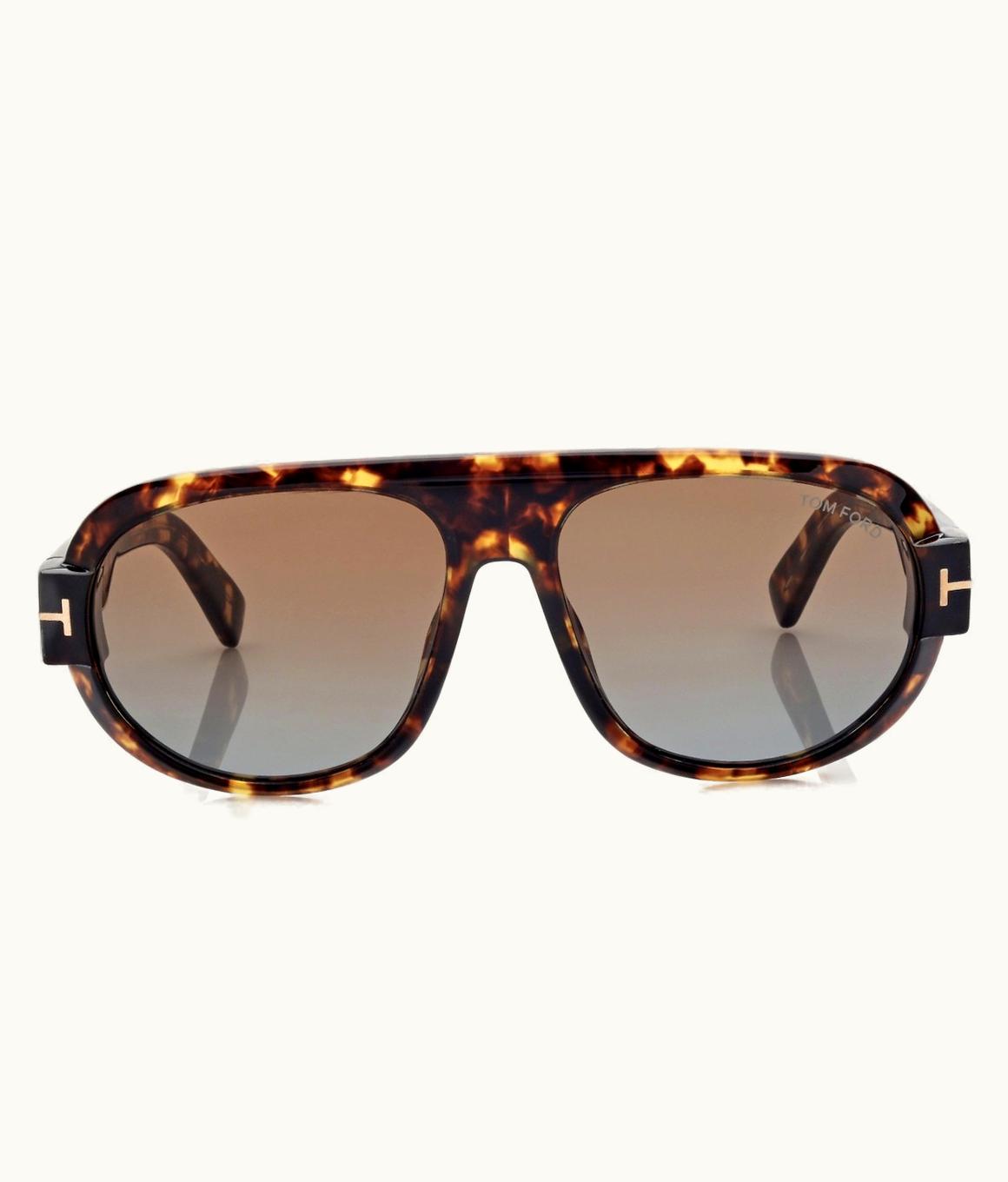 Tom Ford Tom Ford Blake Sunglasses