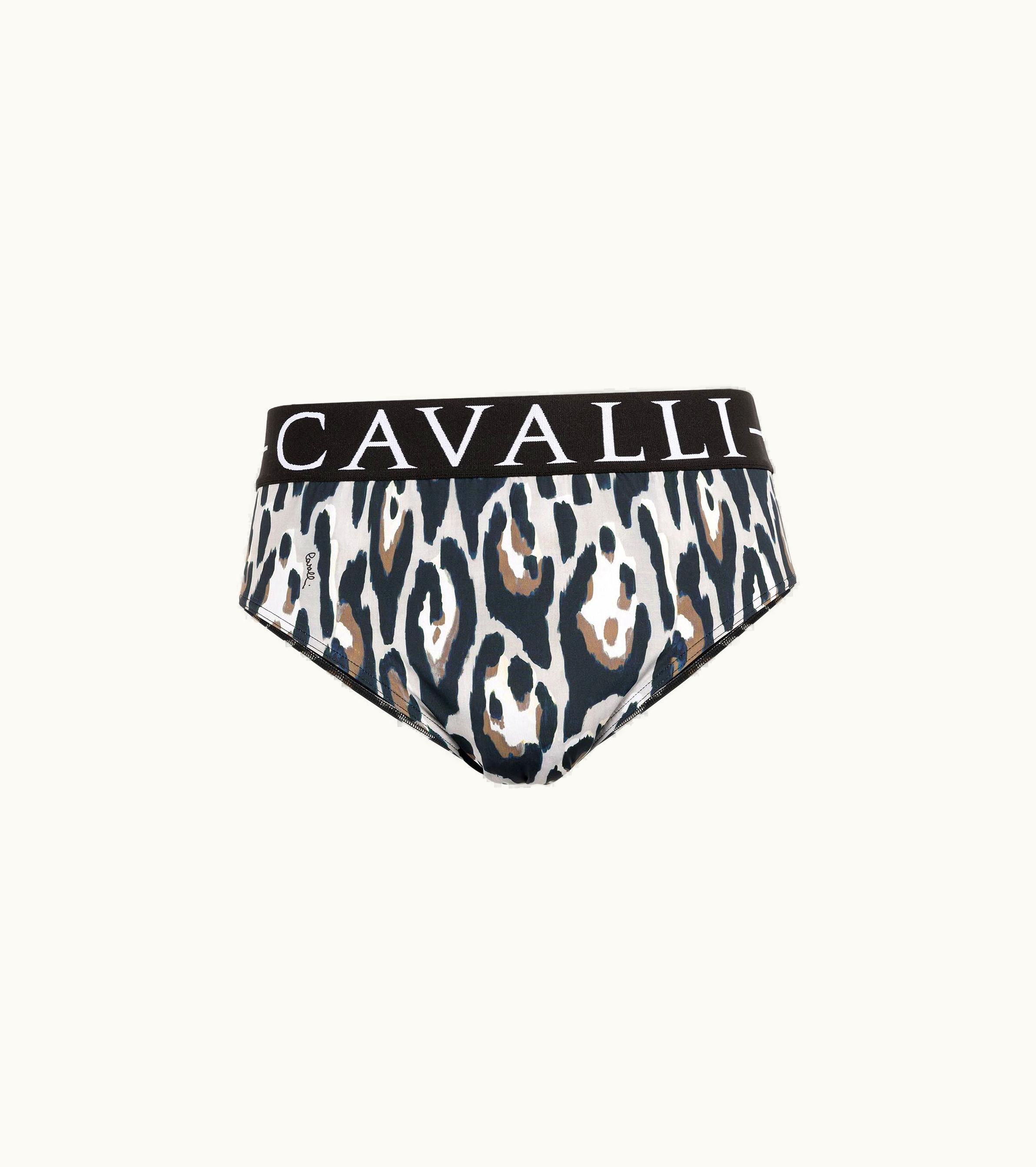 Roberto Cavalli Roberto Cavalli Leopard-print Swimming Trunks Black