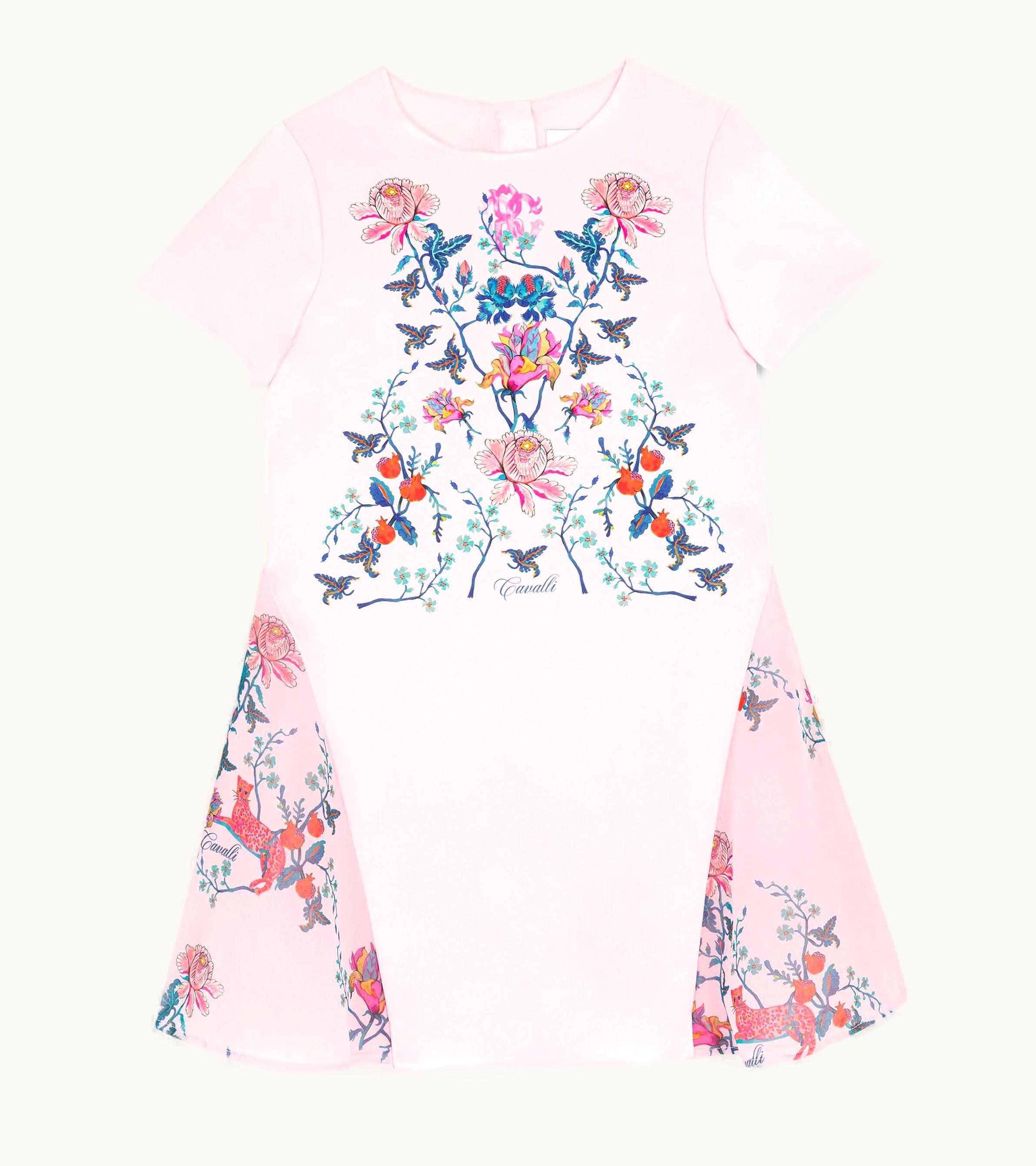 Roberto Cavalli Roberto Cavalli Floral-Print Silk Dress Baby Pink