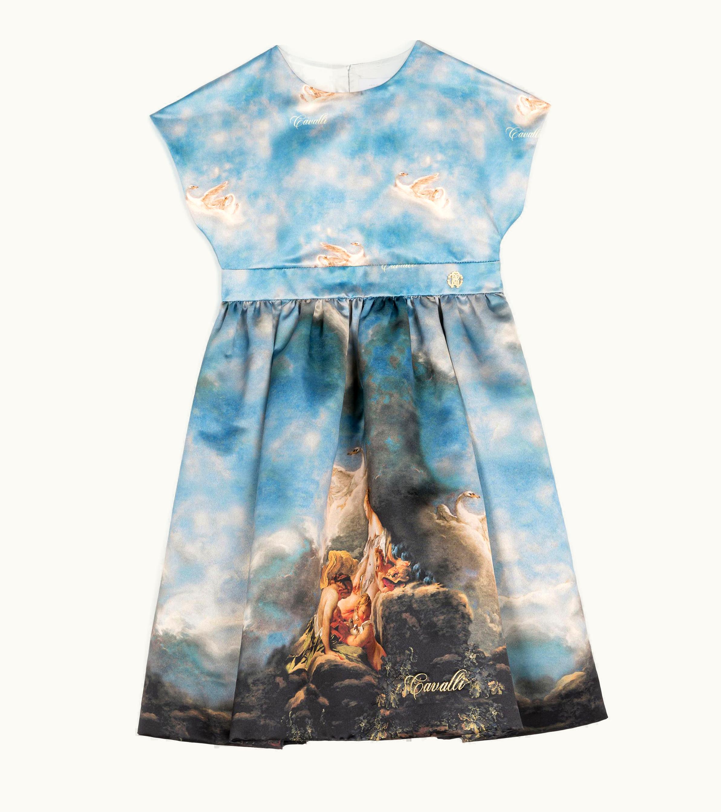 Roberto Cavalli Roberto Cavalli Wild Leda-Print Dress Multicolor