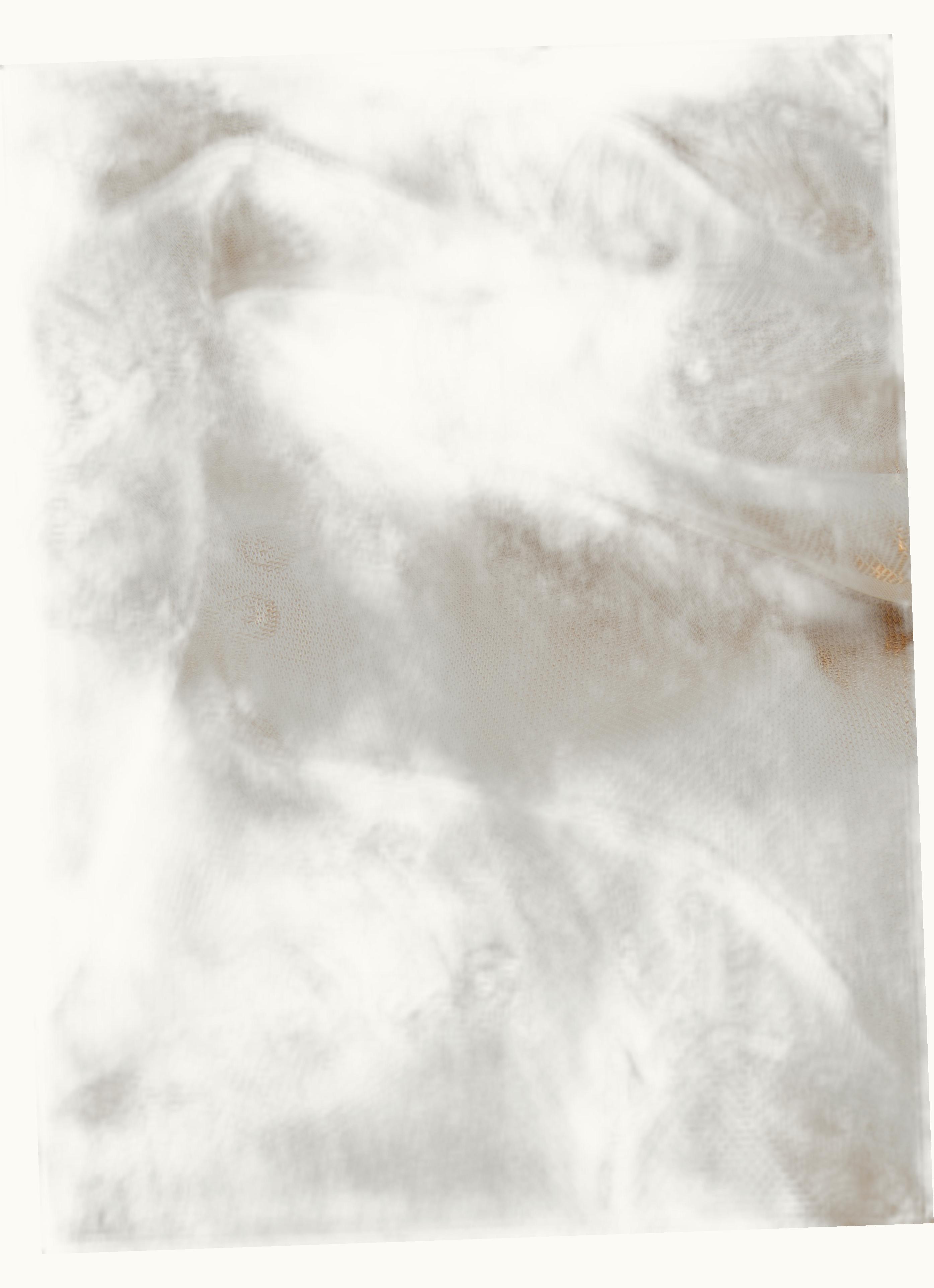 Max Mara Max Mara Jacquard Silk Shawl Sand Tronto