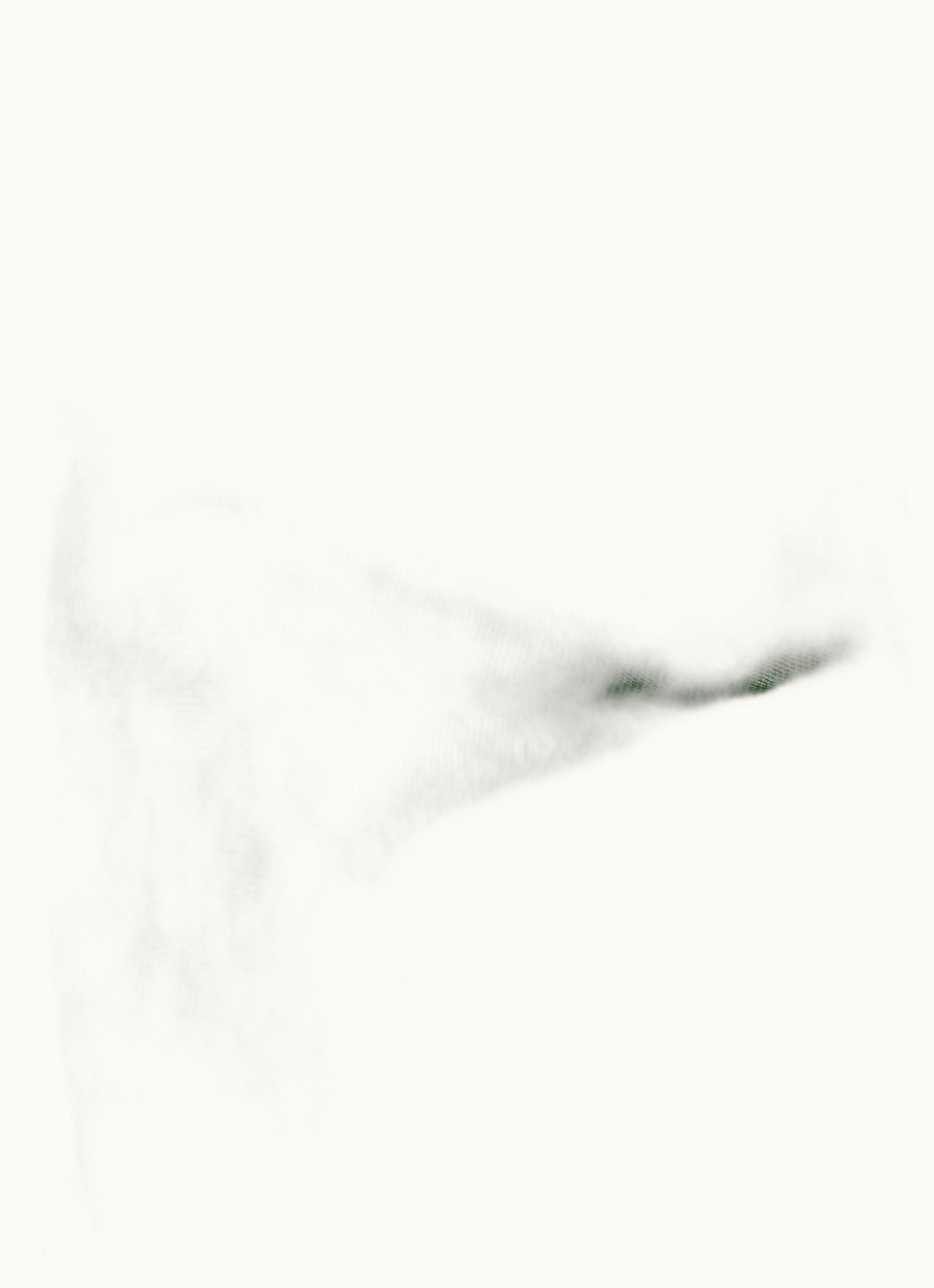 Max Mara Max Mara Linen Stole Green Sion2