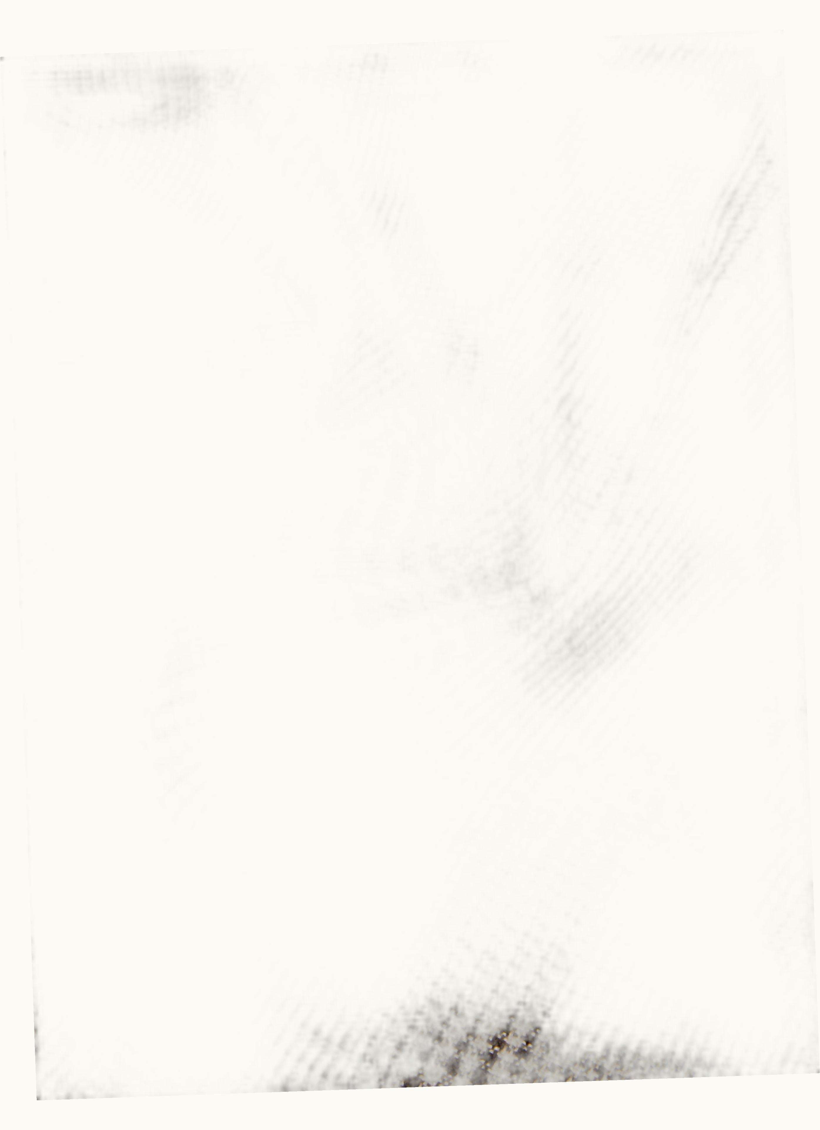 Max Mara Max Mara Wool Stole With Logo Brown Janzir