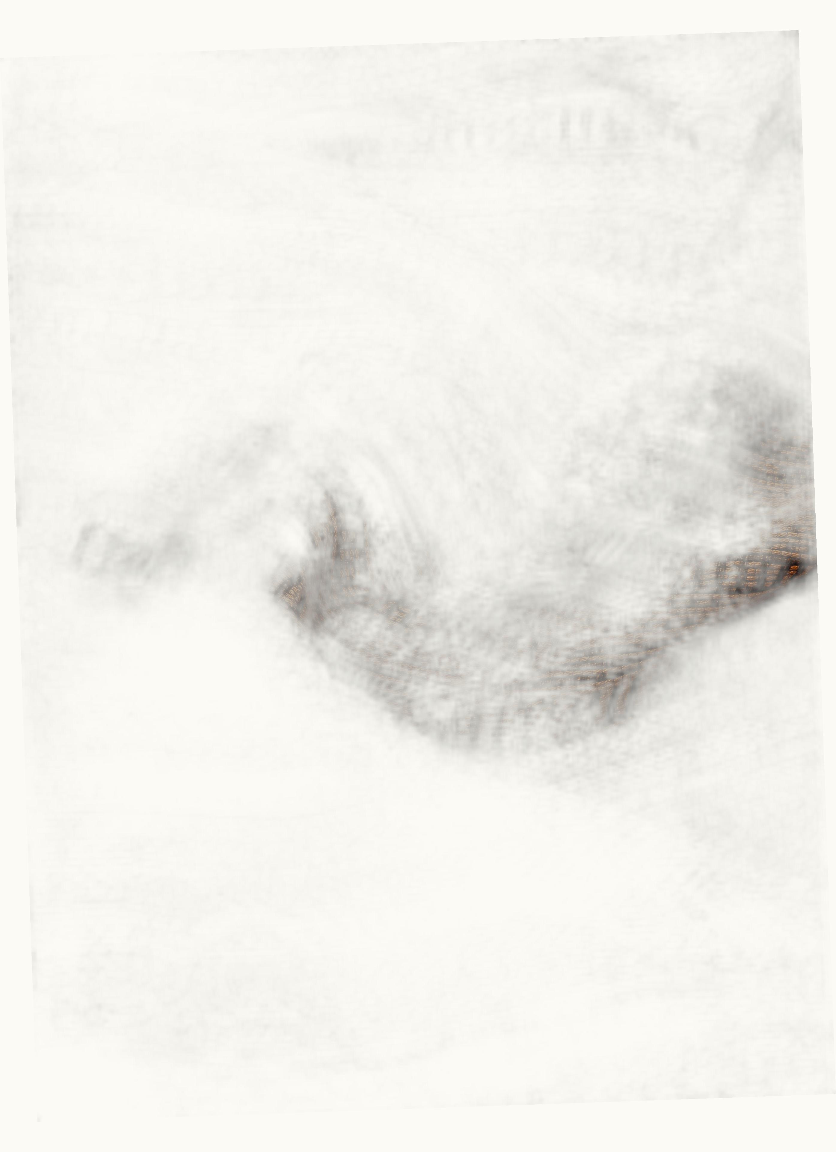 Max Mara Max Mara Cotton And Silk Stole Tobacco Fiesole