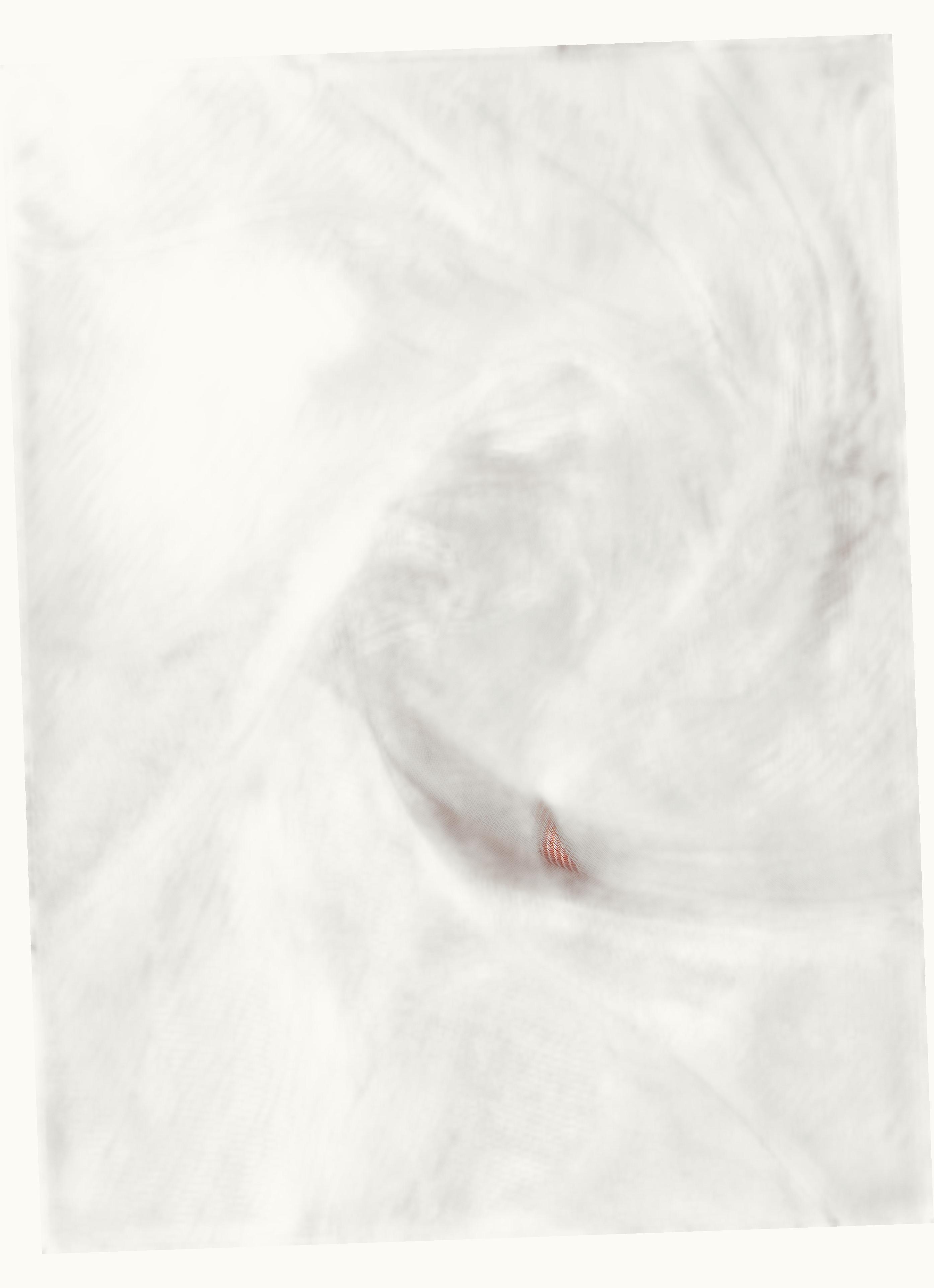 Max Mara Max Mara Modal And Cotton Shawl Rust Porfido