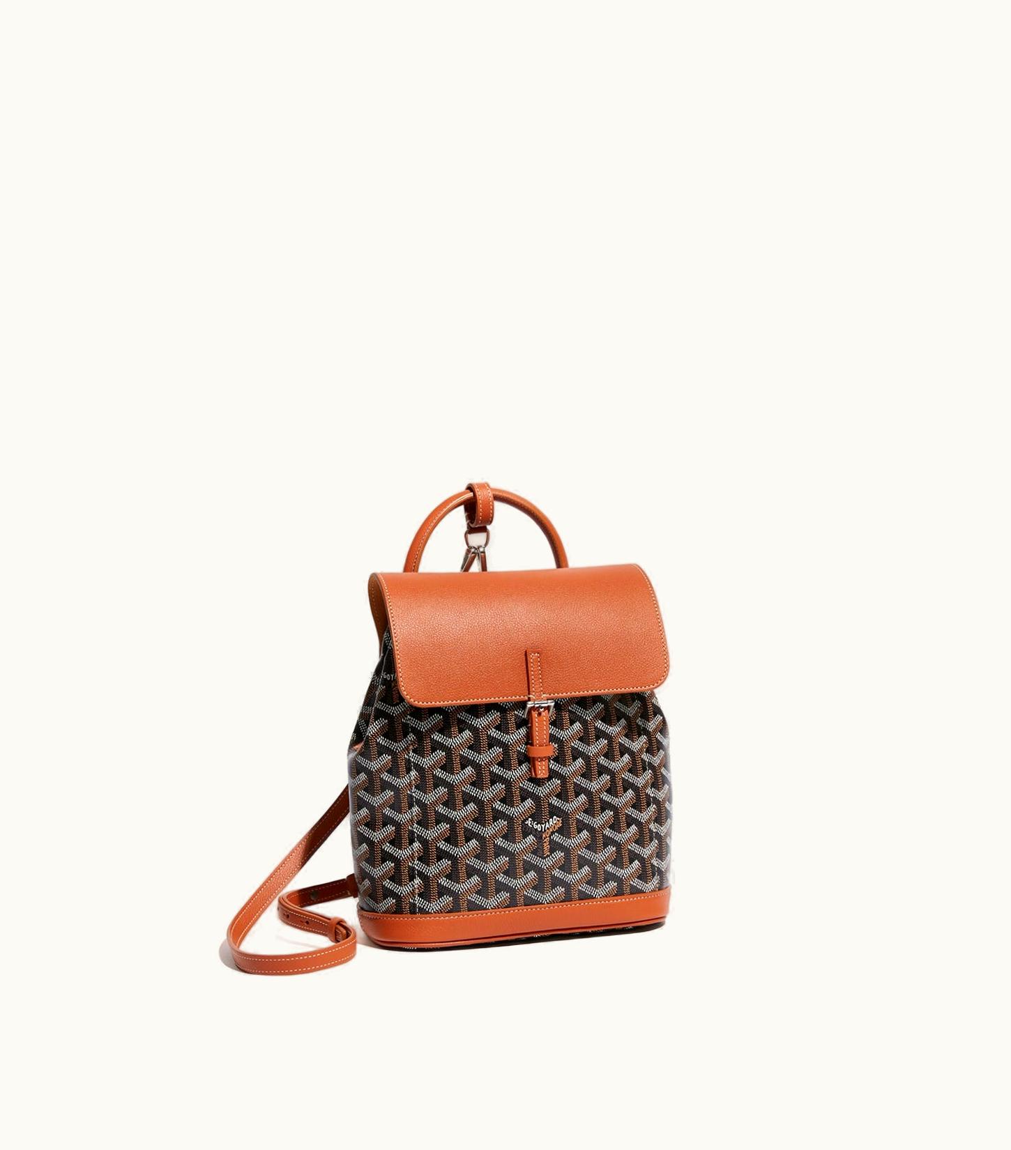 Goyard Goyard Alpin Mini Backpack