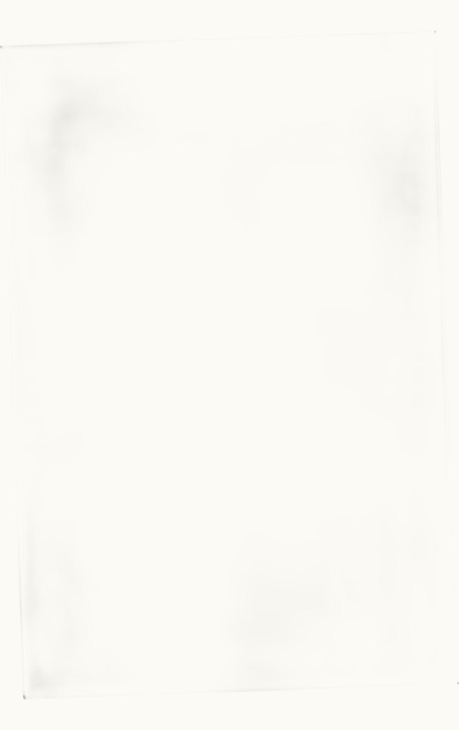 Amina Muaddi Amina Muaddi Lupita Glass Slipper Transparent Pvc And Black Ombre Heel