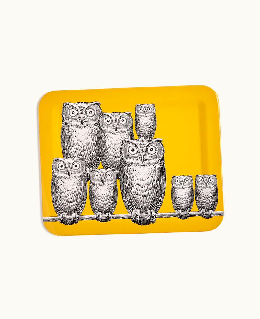 Fornasetti Fornasetti Tray Civette In Multicolour C24Y501FOR21GIA