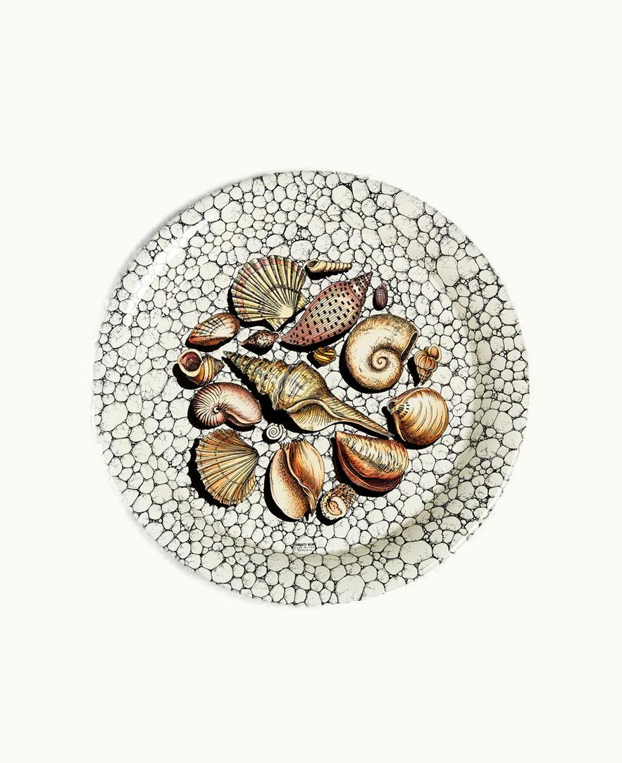Fornasetti Tray Conchiglie E Ciotoli In Multicolour
