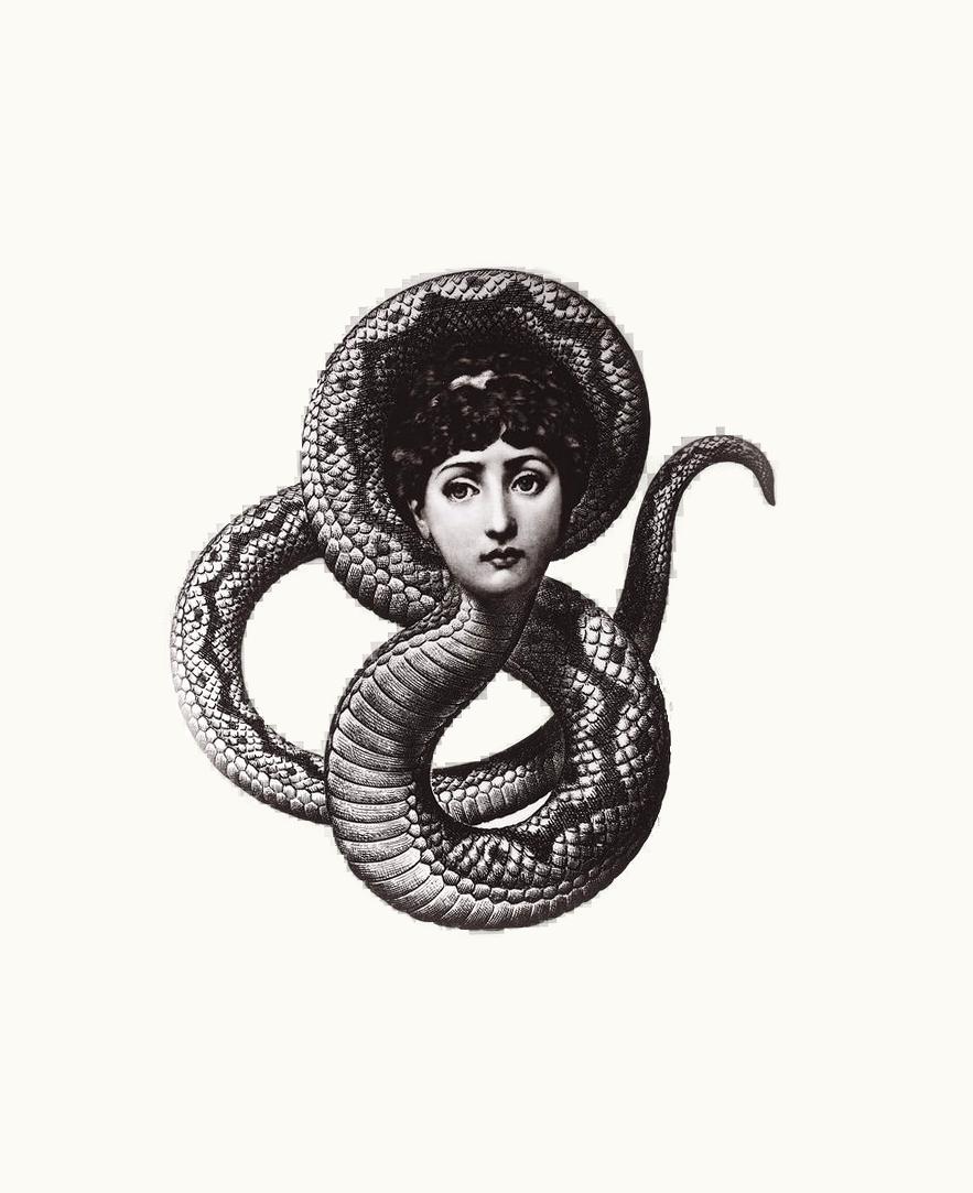 Fornasetti Fornasetti Wall Plate Tema E Variazioni N.198 In White / Black