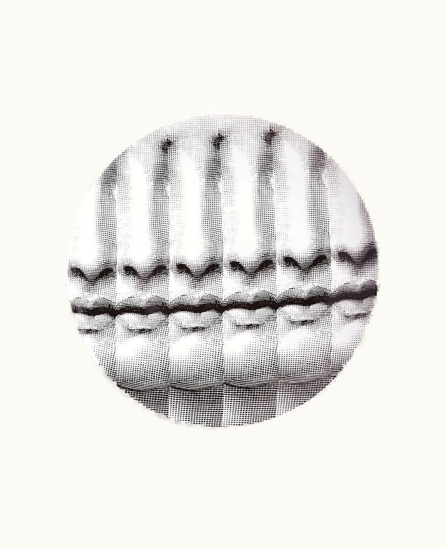 Fornasetti Fornasetti Wall Plate Tema E Variazioni N.238 In White / Black