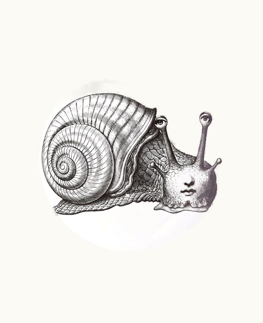 Fornasetti Fornasetti Wall Plate Tema E Variazioni N.260 In White / Black