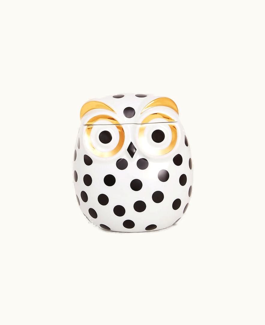 Fornasetti Fornasetti Jar Civetta Impallinata In White / Black / Gold