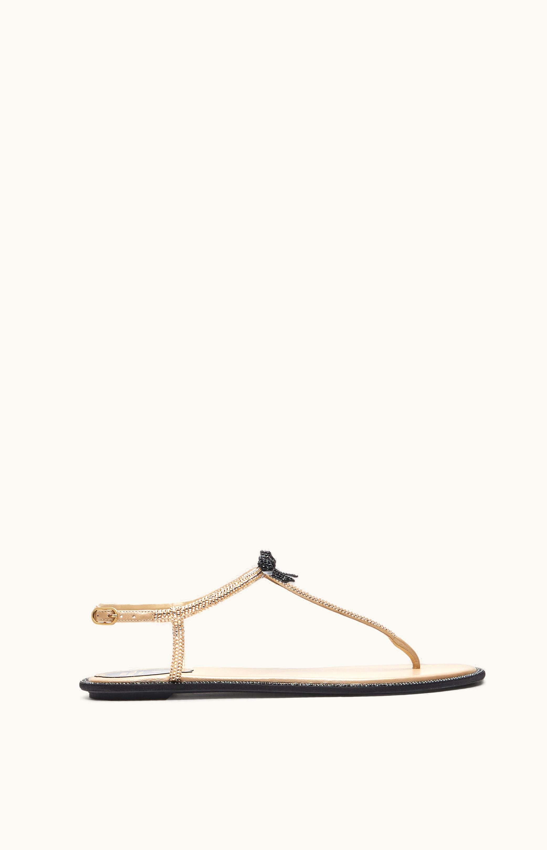 René Caovilla René Caovilla Caterina Honey Thong Sandal 10