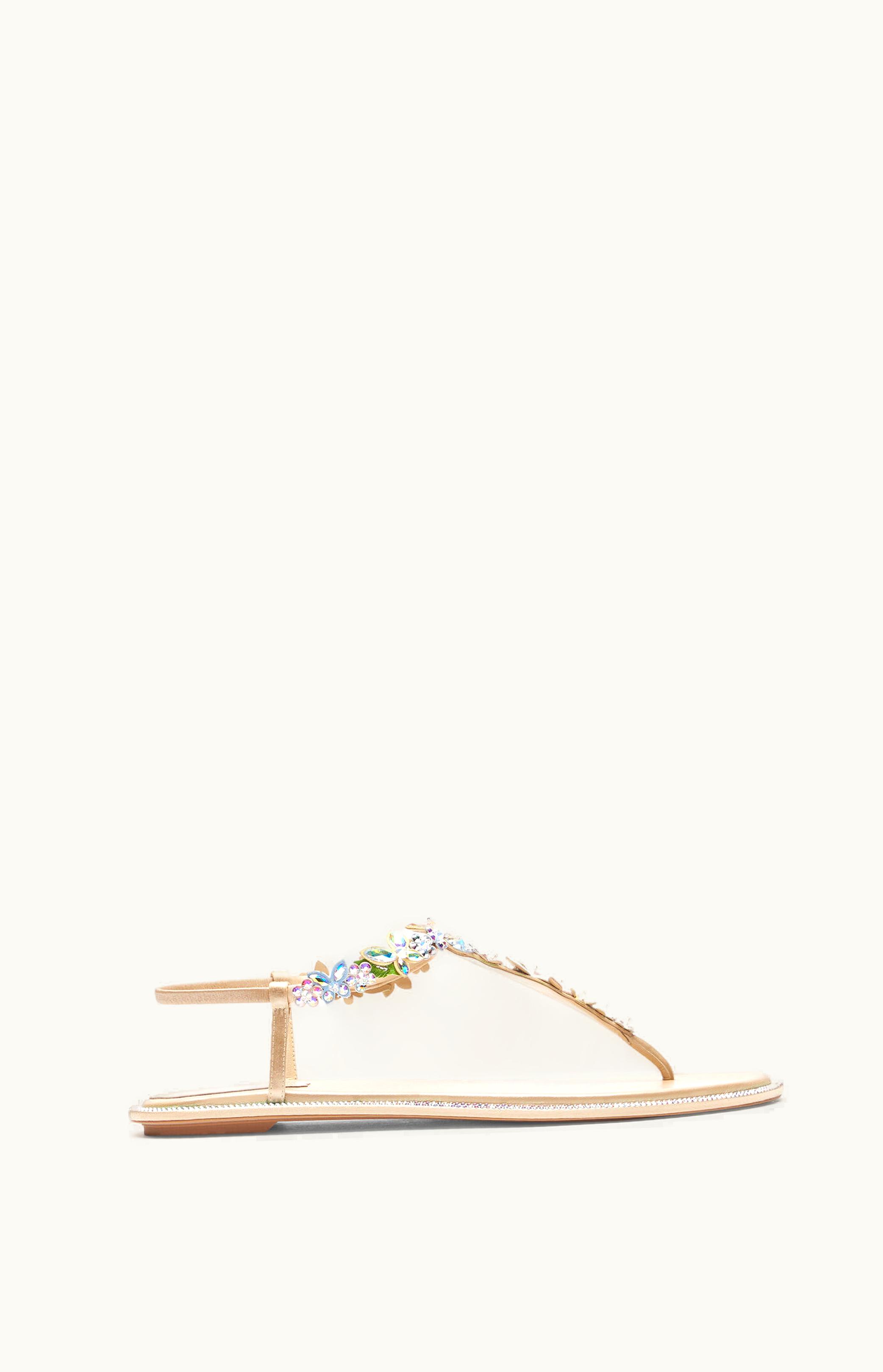 René Caovilla René Caovilla Eden Nude Thong Sandal 10