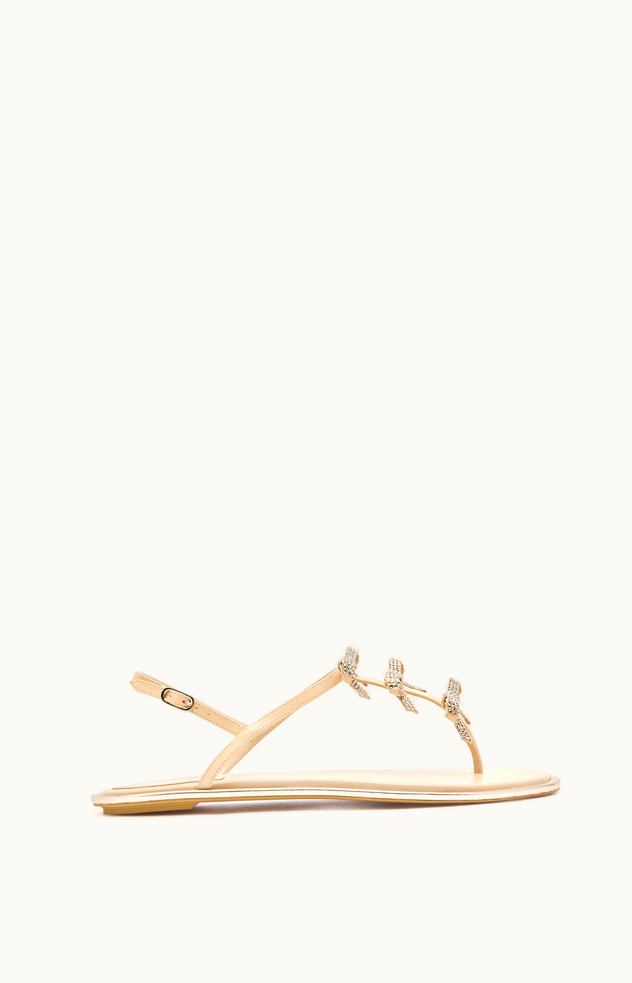 René Caovilla René Caovilla Caterina Nude Thong Sandal 10